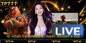 পোল্ট্রির উকুনের চিকিৎসা - লক্ষণ, নিয়ন্ত্রণ ও যত্ন