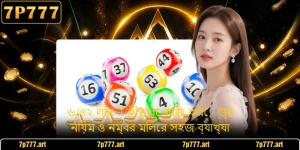 ৬/৪২ লটো কীভাবে কাজ করে - ড্র নিয়ম ও নম্বর মিলের সহজ ব্যাখ্যা